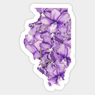 Illinois in Flowers Sticker